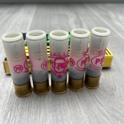Lot de 5 balles prevot s calibre 20