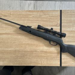 Carabine Gamo Black Knight avec lunette