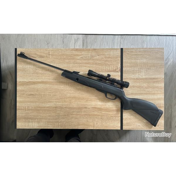 Carabine Gamo Black Knight avec lunette