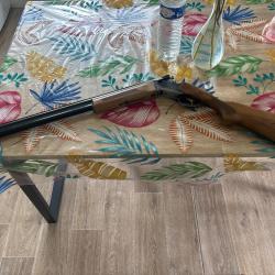 Fusil 12/76 baikal