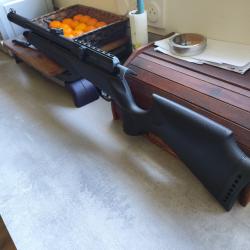 Vend carabine pcp gamo arrow 5.5 avec pompe de rechargement