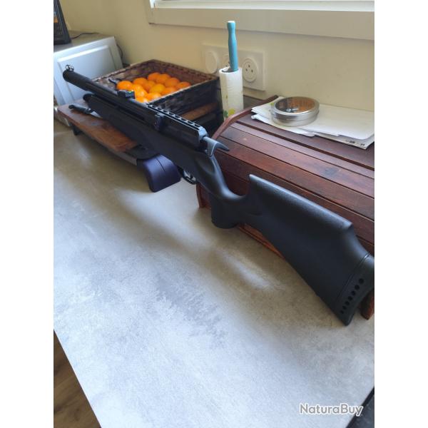 Vend carabine pcp gamo arrow 5.5 avec pompe de rechargement