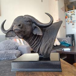 Bronze Buffle caffer