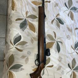 SAUER 303 CALIBRE 300 WM + MONTAGE AIMPOINT MICRO H1