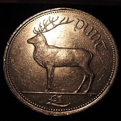 Eire, piece de 1 livre irlandaise (cerf)  de 1998  ttb