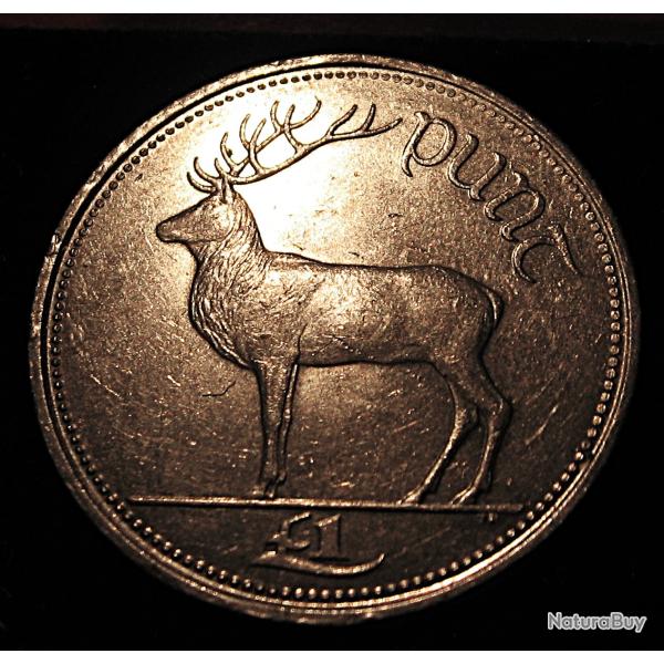 Eire, piece de 1 livre irlandaise (cerf)  de 1998  ttb