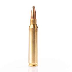 Cartouches Fiocchi classic c/.223 rem - 55 grs - fmj (10 BOITES)