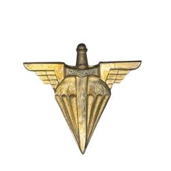 (108.049) Insigne du BETAP - Base Ecole Troupes A&eacute;roport&eacute;es - Drago
