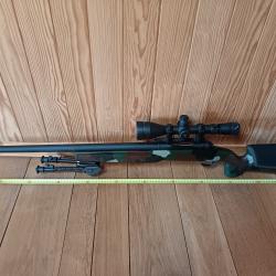Custom Savage MacMillan ARMECA 243 win