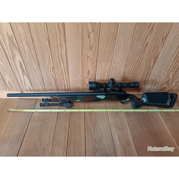 Custom Savage MacMillan ARMECA 243 win