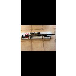 Ruger rimfire pr&eacute;cision