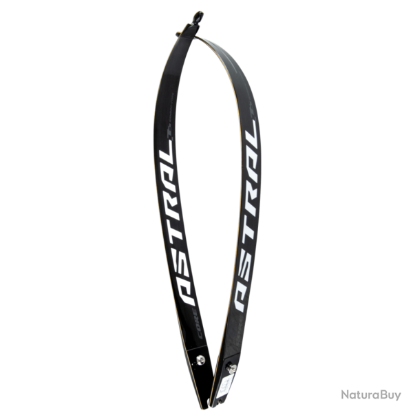 Branches Bambou Astral- CORE - 26# / 68"
