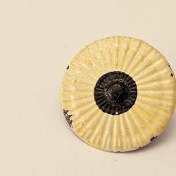 COCARDE  pour Suisse SHAKO mod&egrave;le 1898 Appenzell Rhodes-Int&eacute;rieures