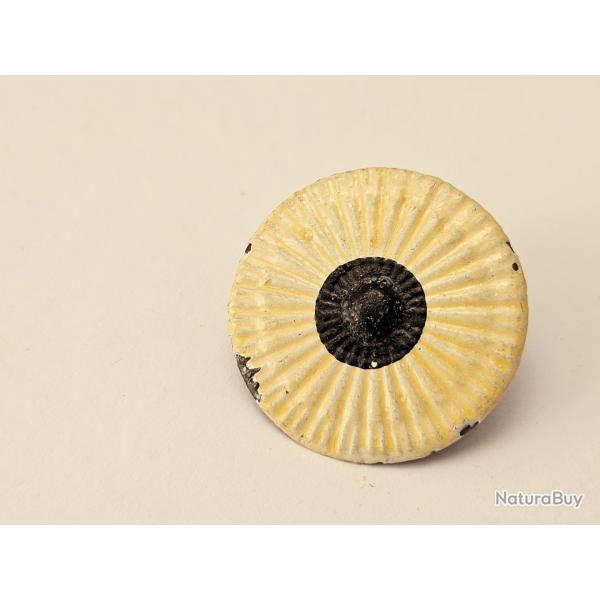 COCARDE  pour Suisse SHAKO mod�le 1898 Appenzell Rhodes-Int�rieures
