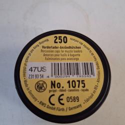Boite de 250 amorces RWS 1075