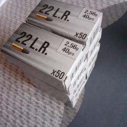 Lot munitions 22LR Decathlon