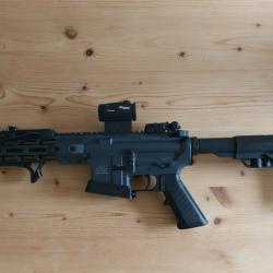 STG15 ALPEN ARMS 10.5" - CAL.223 - 1ERE G&Eacute;N&Eacute;RATION