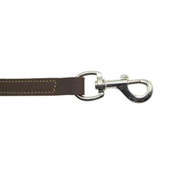 Laisse pour chien cuir 120cm Januel