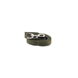 Laisse pour chien nylon vert 150cm Januel