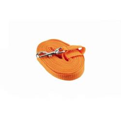 Longe pour chien nylon 10m orange Januel