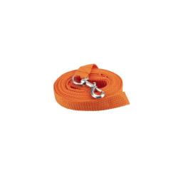Longe pour chien nylon 5m orange Januel
