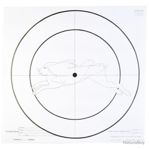Lot de 100 cibles d'essai pour fusil 90x90cm Januel