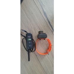 Collier bip dogtra digital system