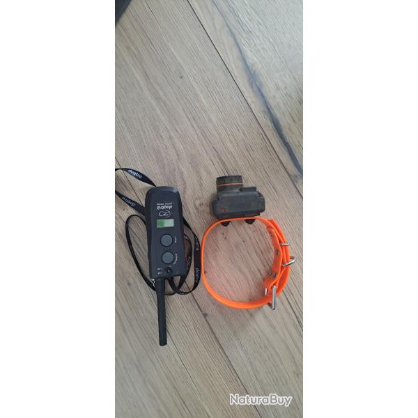 Collier bip dogtra digital system