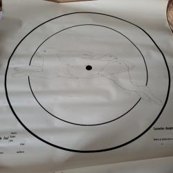 Lot de 70 Cibles essais 90x90 pour fusil