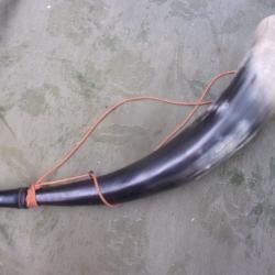 corne d'appel en corne 47 cm