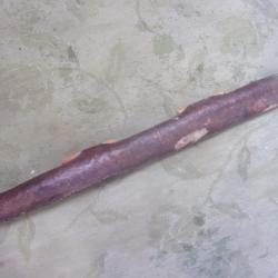carqouis africain 53 cm