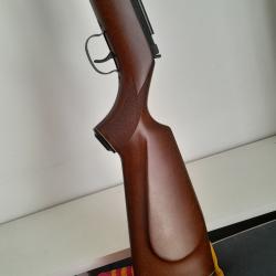 Carabine &agrave; plomb
