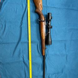 CZ 550 + lunette VIXEN + point rouge BUSHNELL + housse + cartouches