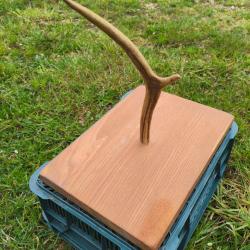 Plateau a fromage avec un bois de cerf