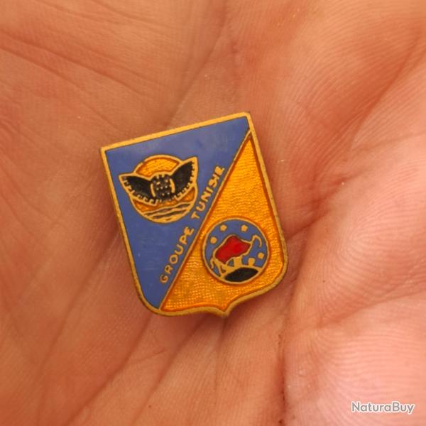 INSIGNE GROUPE BOMBARDEMENT 1 / 25 TUNISIE