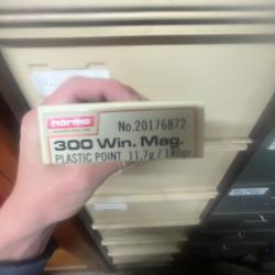 Balle de 300 win mag de 180 gr norma