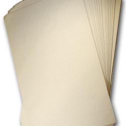 Papier de riz X100