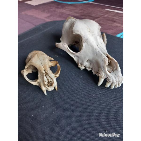 Lot 2 cr�nes chien et chat?