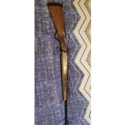 Carabine voere safari