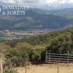 Propri&eacute;t&eacute; Foresti&egrave;re et Agricole dans les Pyr&eacute;n&eacute;es-Orientales (66) d'environ 70 hectares DF-1180-A