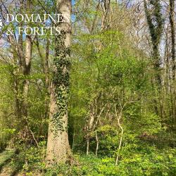 Propri&eacute;t&eacute; &agrave; dominante Foresti&egrave;re dans le Vexin Fran&ccedil;ais d'environ 38 hectares DF-1176-A