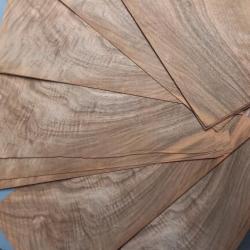 PLACAGE NOYER