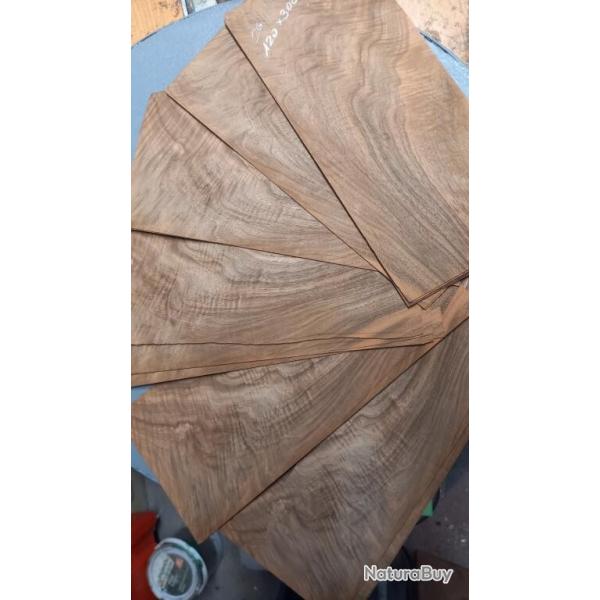 PLACAGE NOYER