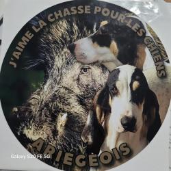 Autocollant Ari&eacute;geois/Sanglier