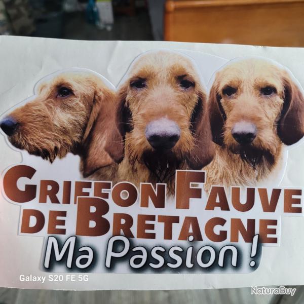 Autocollant Griffon Fauve de Bretagne Ma Passion
