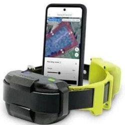 Cl&ocirc;ture virtuelle GPS sans fil pour chien DOGTRA