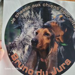 Autocollant Bruno du Jura / Sanglier