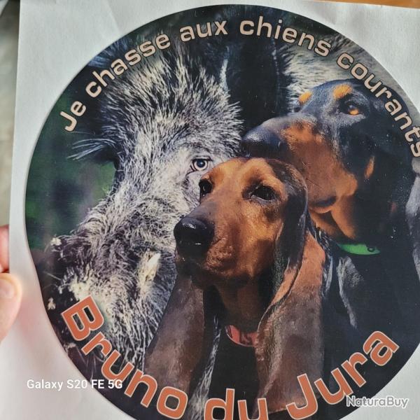 Autocollant Bruno du Jura / Sanglier