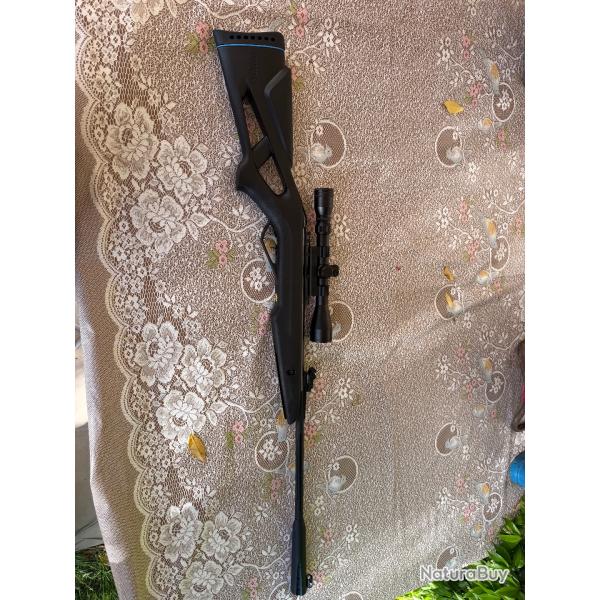 Carabine Gamo Whisper IGT ( 20 joules ) + lunette 3-9x40