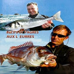 DVD ULTIMATE FISHING bars et pagres aux leurres